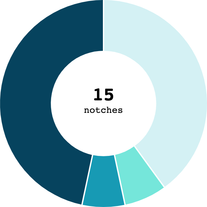 Notch On pie chart of notches